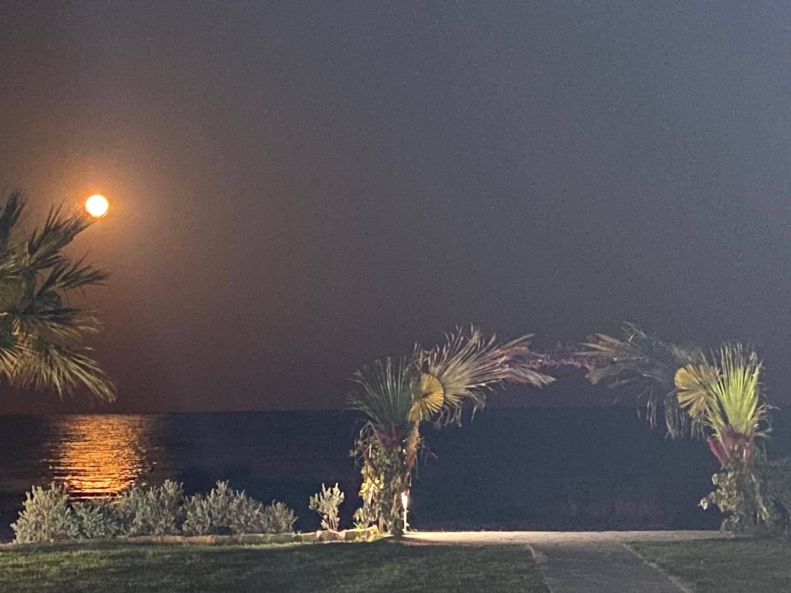 Ionion Beachfront Villa Ajia Napa Zewnętrze zdjęcie