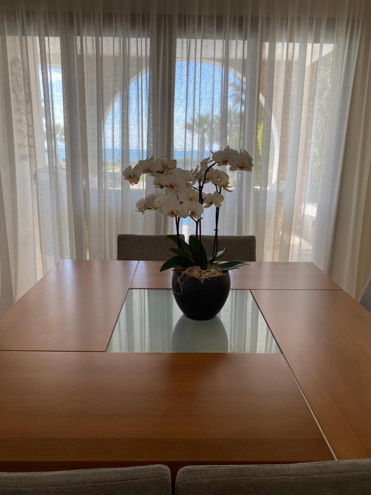 Ionion Beachfront Villa Ajia Napa Zewnętrze zdjęcie
