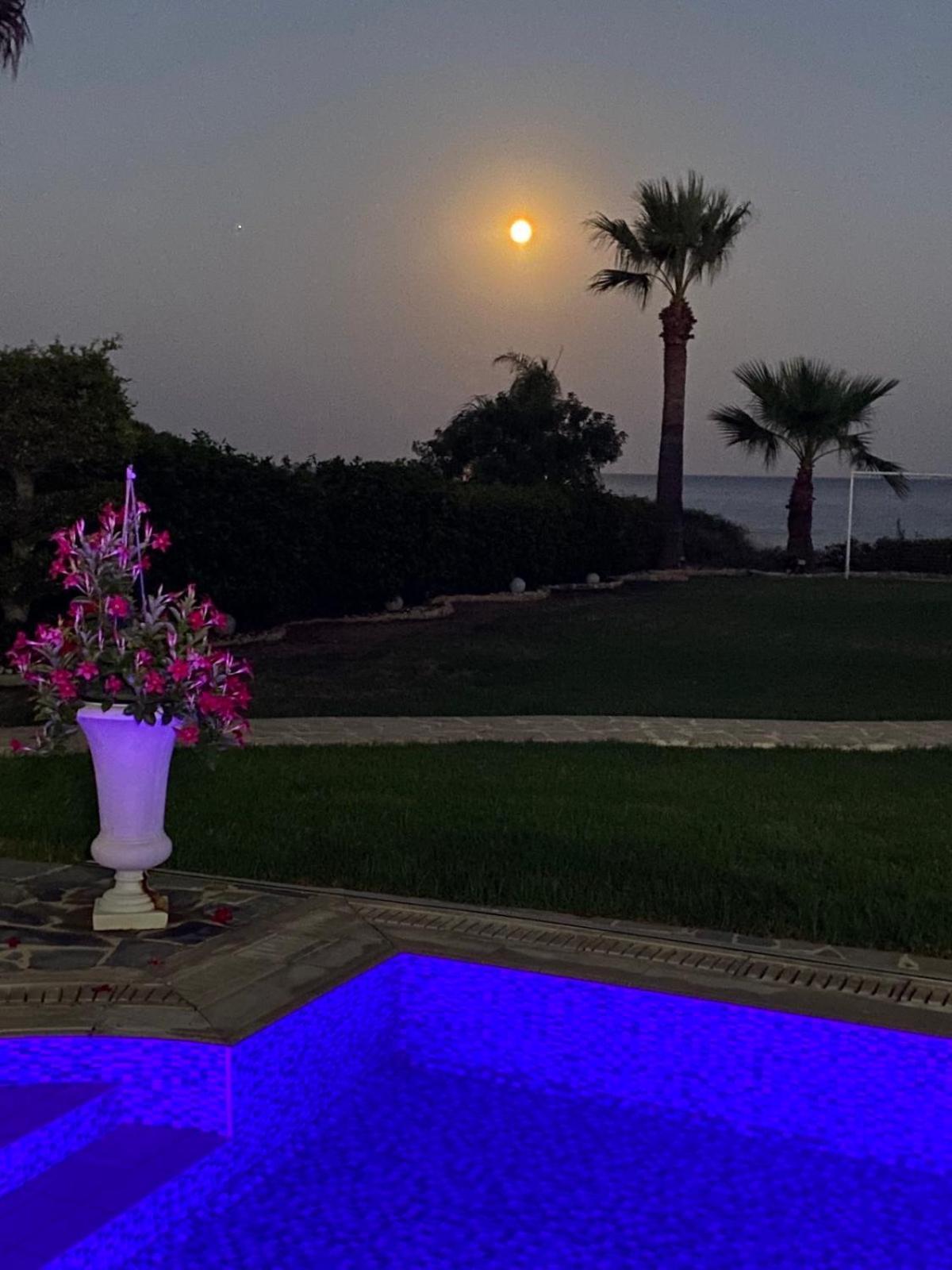 Ionion Beachfront Villa Ajia Napa Zewnętrze zdjęcie